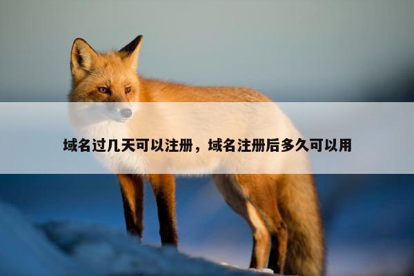域名过几天可以注册，域名注册后多久可以用