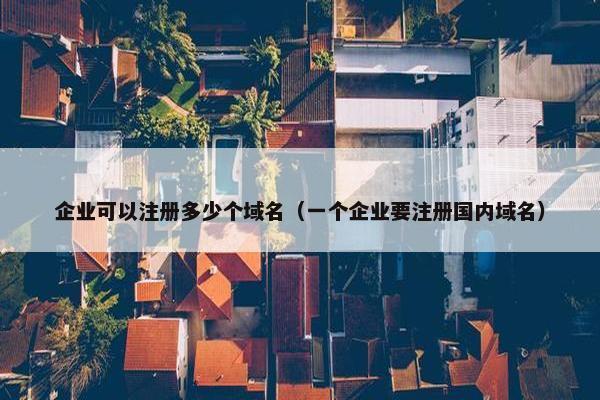 企业可以注册多少个域名（一个企业要注册国内域名）
