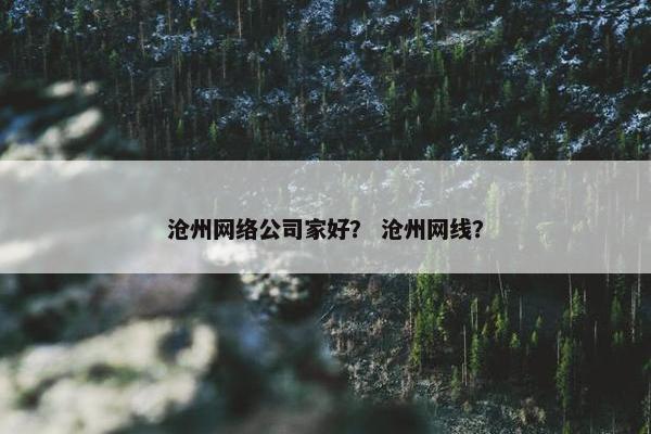 沧州网络公司家好？ 沧州网线？