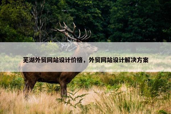 芜湖外贸网站设计价格，外贸网站设计解决方案