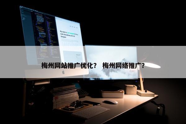 梅州网站推广优化？ 梅州网络推广？