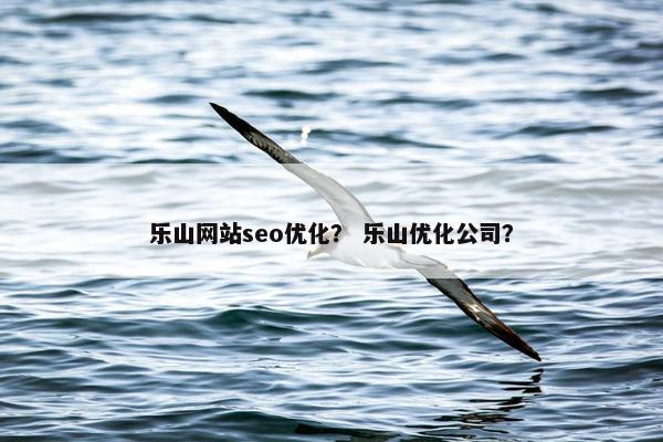 乐山网站seo优化？ 乐山优化公司？