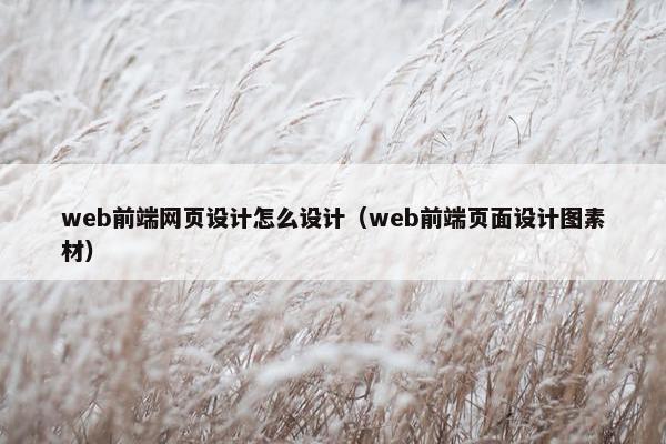 web前端网页设计怎么设计（web前端页面设计图素材）