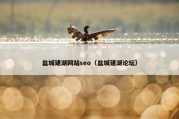 盐城建湖网站seo（盐城建湖论坛）