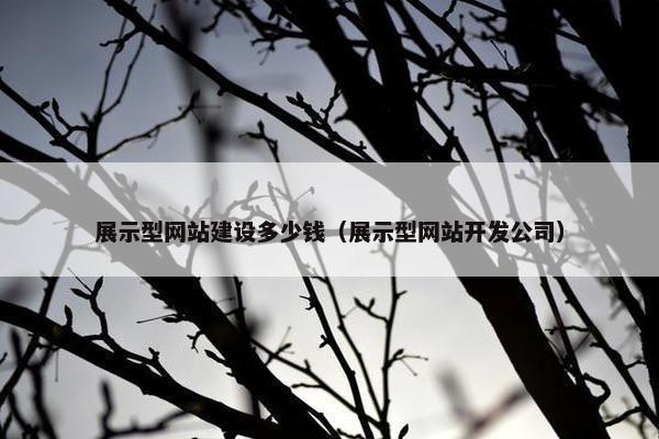 展示型网站建设多少钱（展示型网站开发公司）