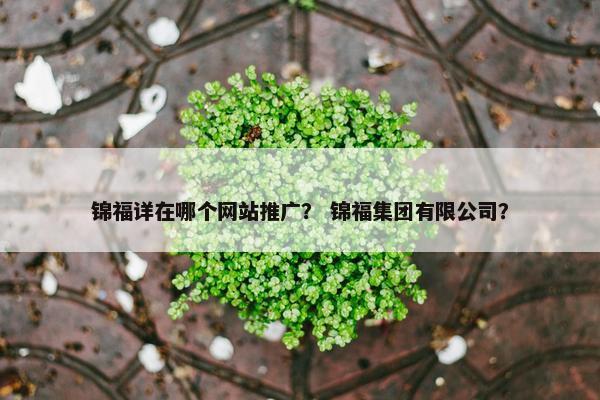 锦福详在哪个网站推广？ 锦福集团有限公司？
