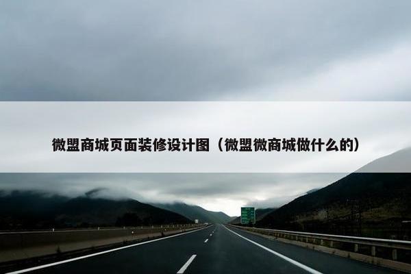 微盟商城页面装修设计图（微盟微商城做什么的）