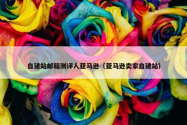 自建站邮箱测评人亚马逊（亚马逊卖家自建站）