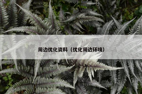 周边优化资料（优化周边环境）