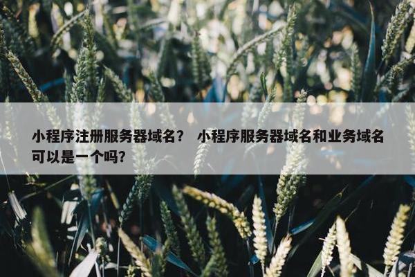 小程序注册服务器域名？ 小程序服务器域名和业务域名可以是一个吗？