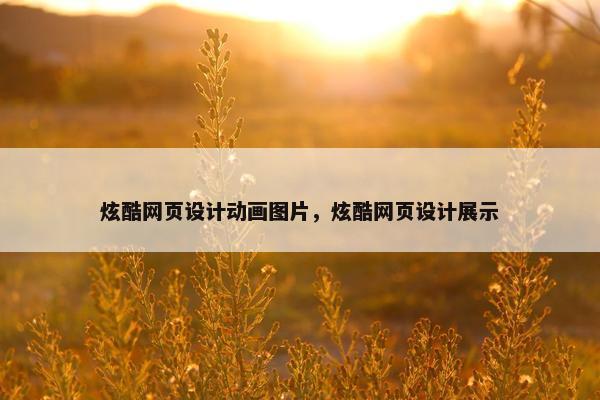 炫酷网页设计动画图片，炫酷网页设计展示