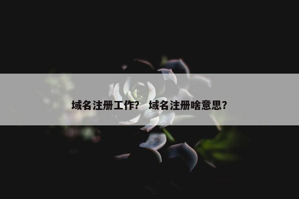 域名注册工作？ 域名注册啥意思？