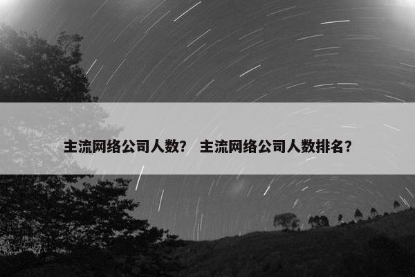主流网络公司人数？ 主流网络公司人数排名？