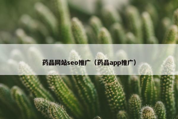 药品网站seo推广（药品app推广）