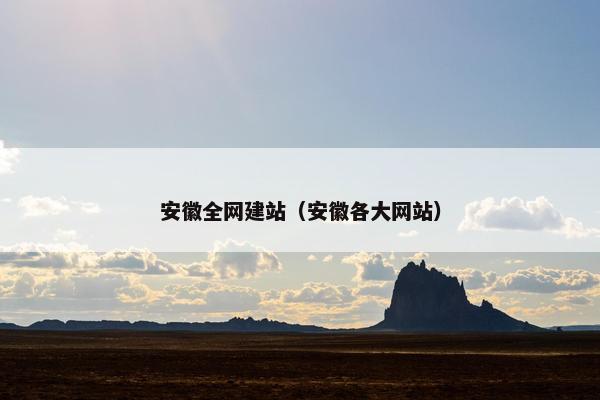安徽全网建站（安徽各大网站）