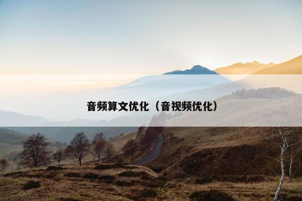 音频算文优化（音视频优化）