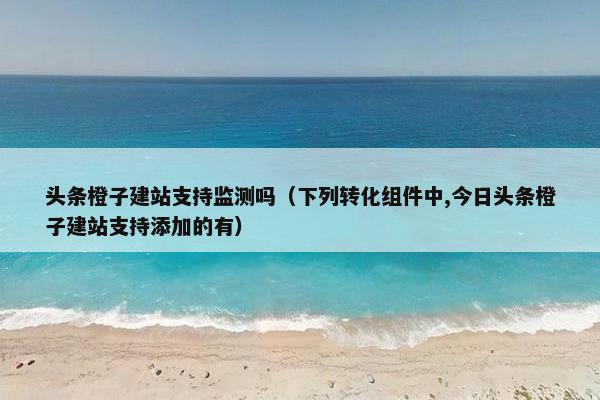 头条橙子建站支持监测吗（下列转化组件中,今日头条橙子建站支持添加的有）