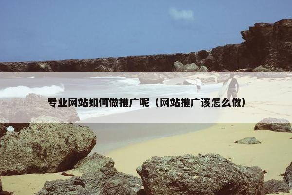 专业网站如何做推广呢（网站推广该怎么做）