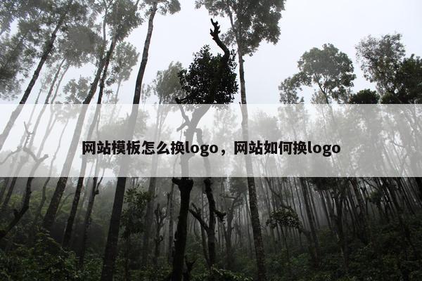 网站模板怎么换logo，网站如何换logo