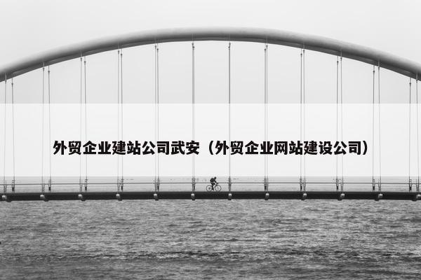 外贸企业建站公司武安（外贸企业网站建设公司）