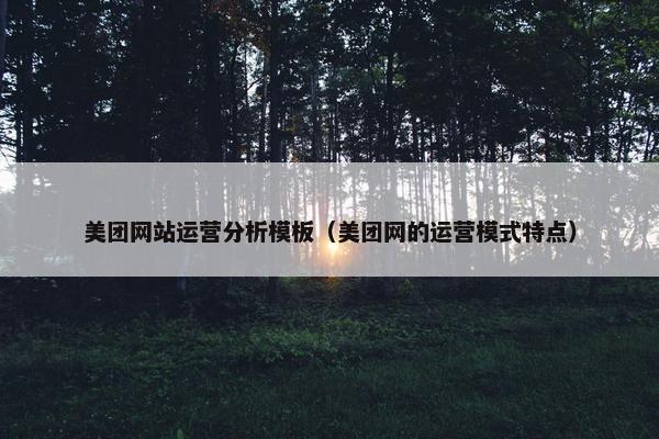 美团网站运营分析模板（美团网的运营模式特点）