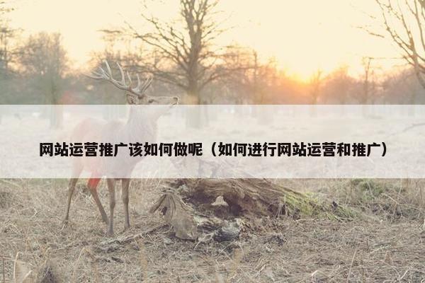网站运营推广该如何做呢（如何进行网站运营和推广）