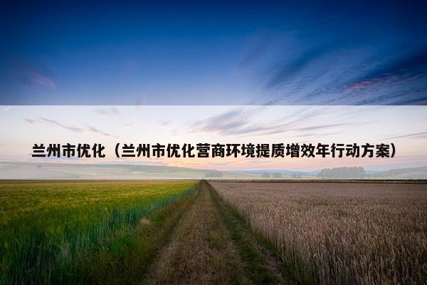 兰州市优化（兰州市优化营商环境提质增效年行动方案）