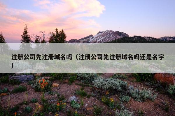 注册公司先注册域名吗（注册公司先注册域名吗还是名字）