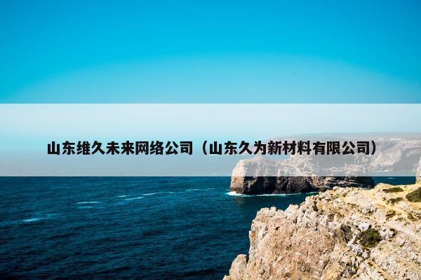 山东维久未来网络公司（山东久为新材料有限公司）