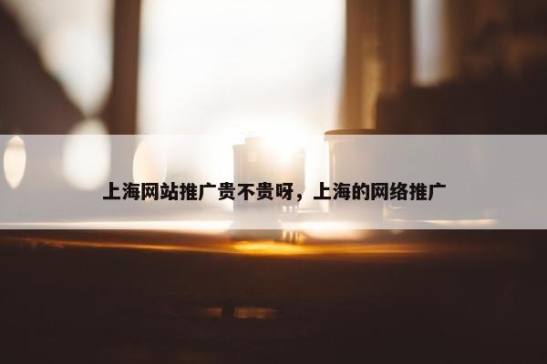 上海网站推广贵不贵呀，上海的网络推广