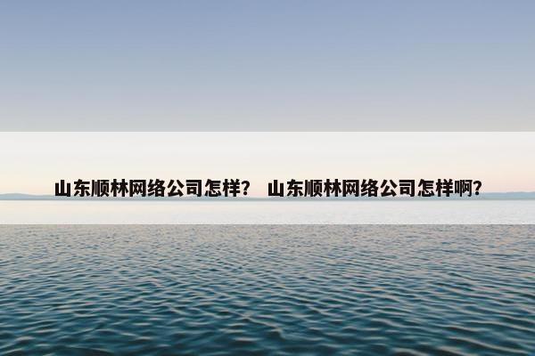 山东顺林网络公司怎样？ 山东顺林网络公司怎样啊？
