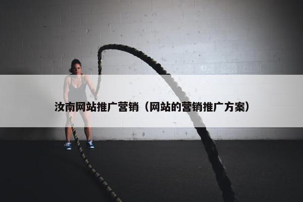 汝南网站推广营销（网站的营销推广方案）