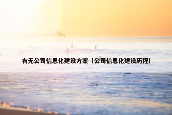 有无公司信息化建设方案（公司信息化建设历程）