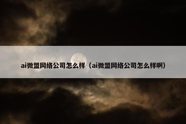ai微盟网络公司怎么样（ai微盟网络公司怎么样啊）