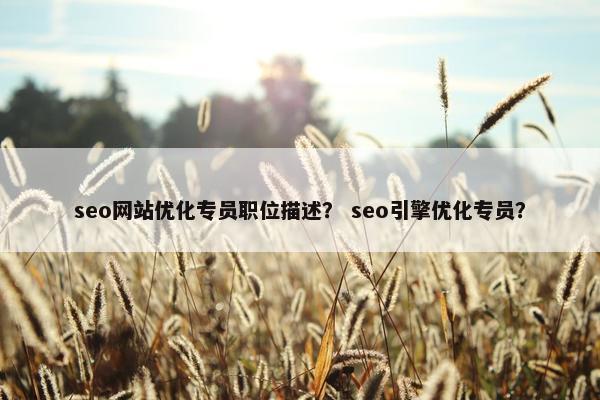 seo网站优化专员职位描述？ seo引擎优化专员？