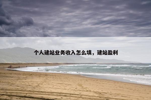 个人建站业务收入怎么填，建站盈利