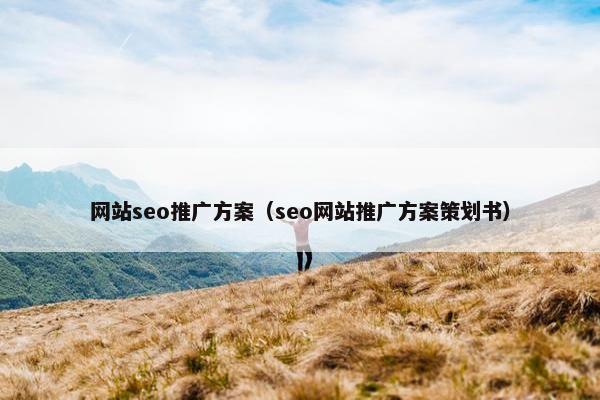 网站seo推广方案（seo网站推广方案策划书）