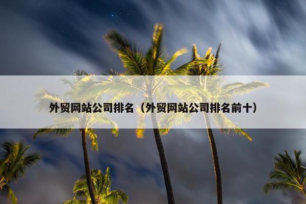 外贸网站公司排名（外贸网站公司排名前十）
