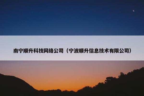 南宁顺升科技网络公司（宁波顺升信息技术有限公司）