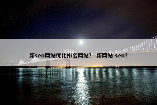 新seo网站优化排名网站？ 新网站 seo？
