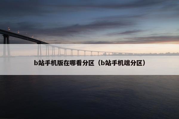 b站手机版在哪看分区（b站手机端分区）