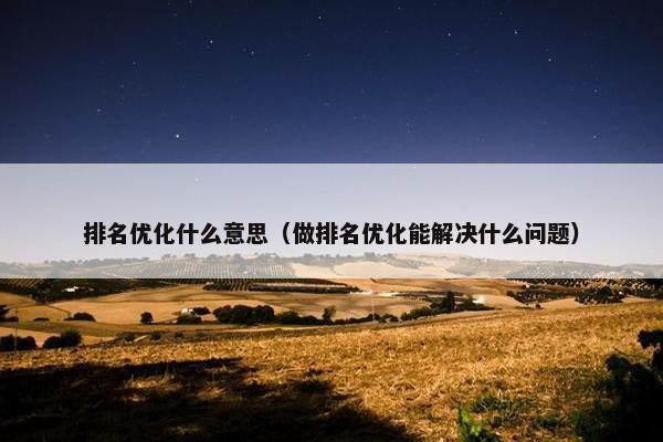 排名优化什么意思（做排名优化能解决什么问题）