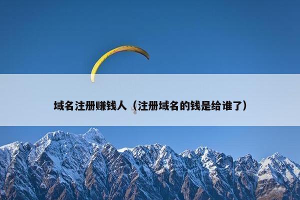 域名注册赚钱人（注册域名的钱是给谁了）