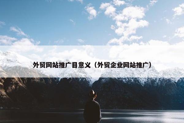 外贸网站推广目意义（外贸企业网站推广）