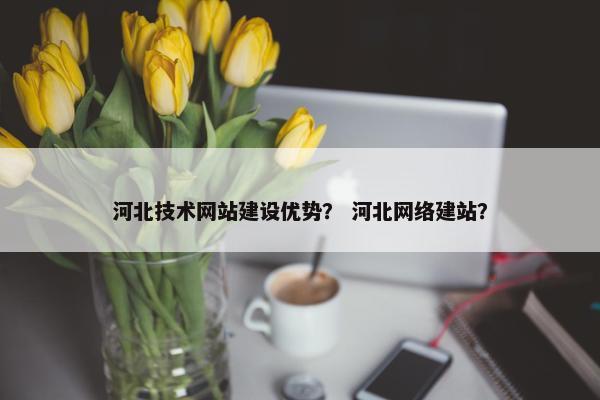 河北技术网站建设优势？ 河北网络建站？