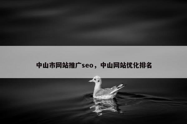 中山市网站推广seo，中山网站优化排名