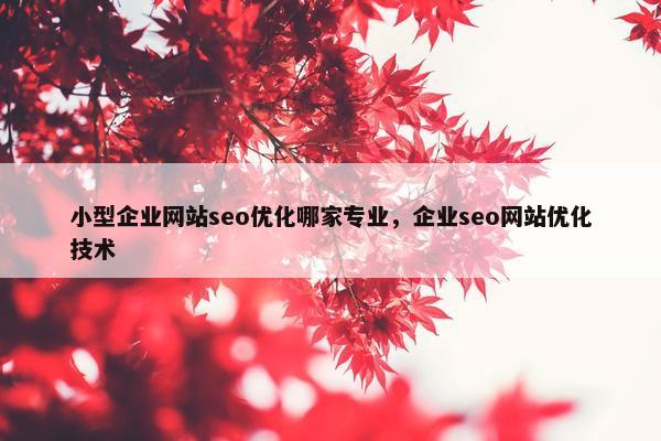 小型企业网站seo优化哪家专业，企业seo网站优化技术