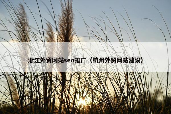 浙江外贸网站seo推广（杭州外贸网站建设）