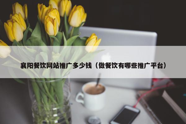 襄阳餐饮网站推广多少钱（做餐饮有哪些推广平台）