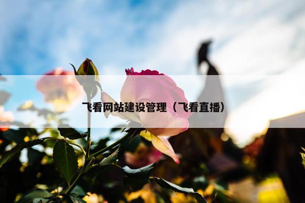飞看网站建设管理（飞看直播）